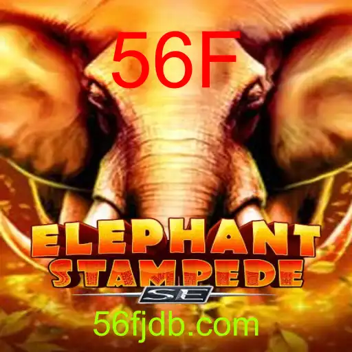ElephantStampedeSE